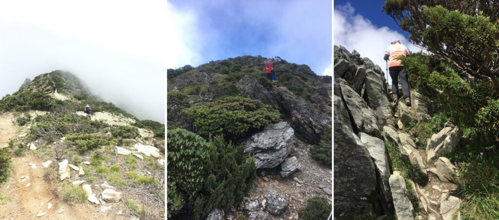 向陽山路徑