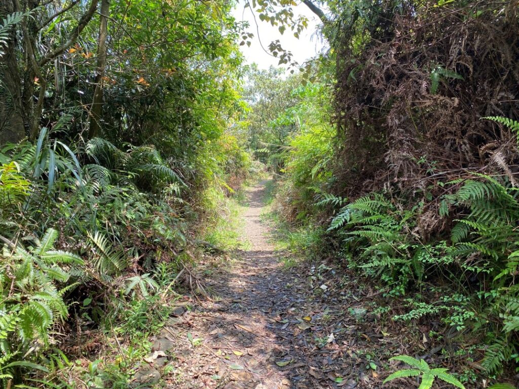 通往山頂路徑