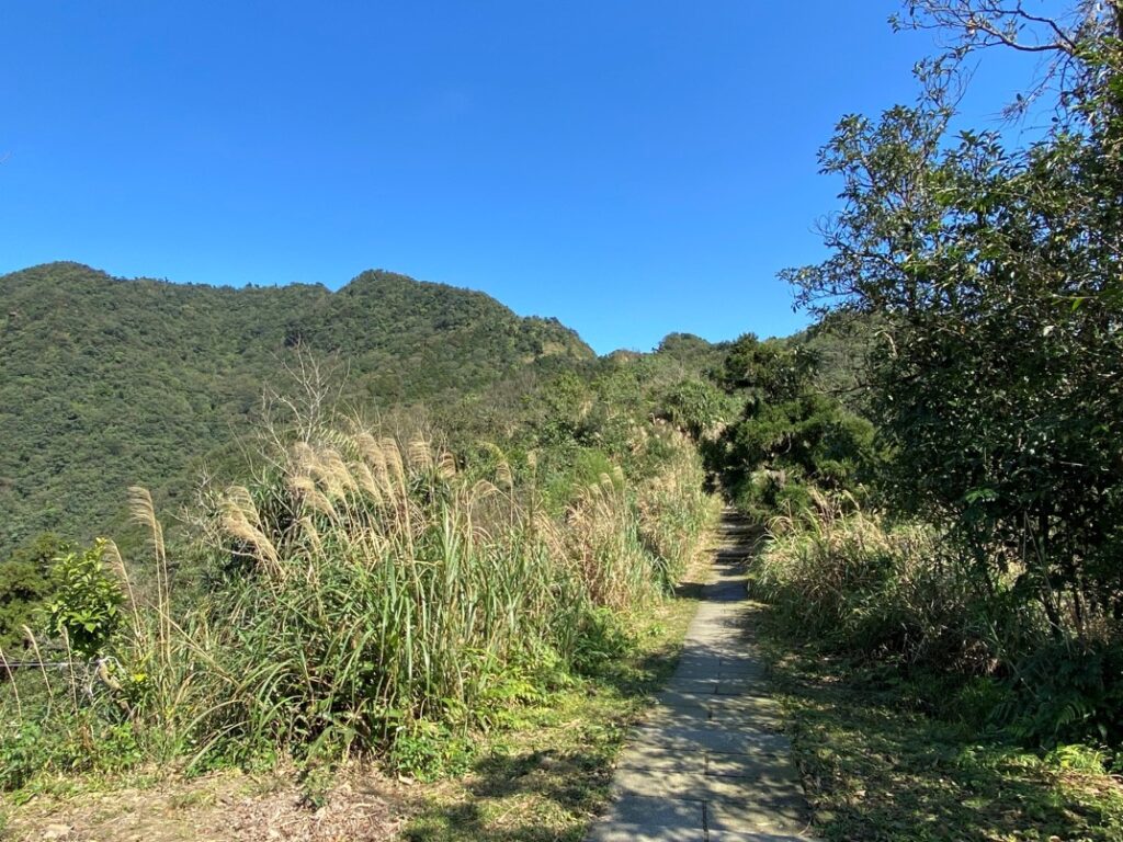 五分山石階步道