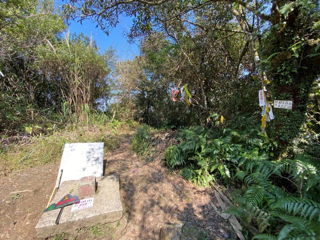 獅仔頭山三角點