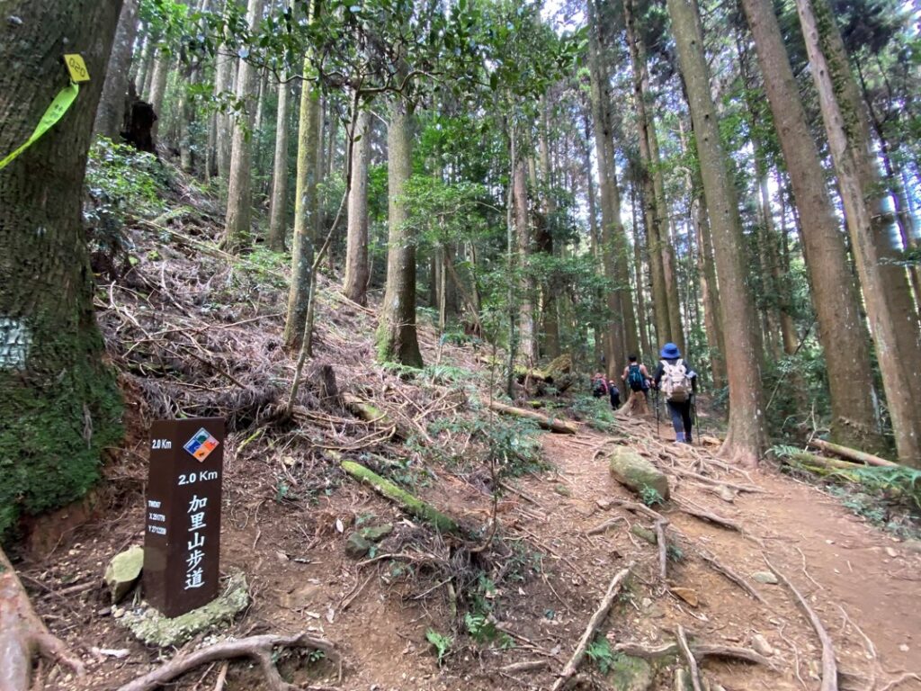 加里山步道2K處