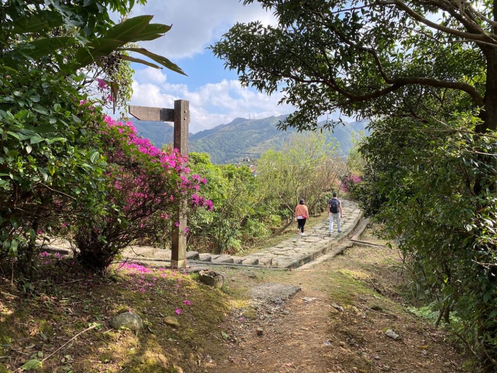 山腰路徑接回主步道