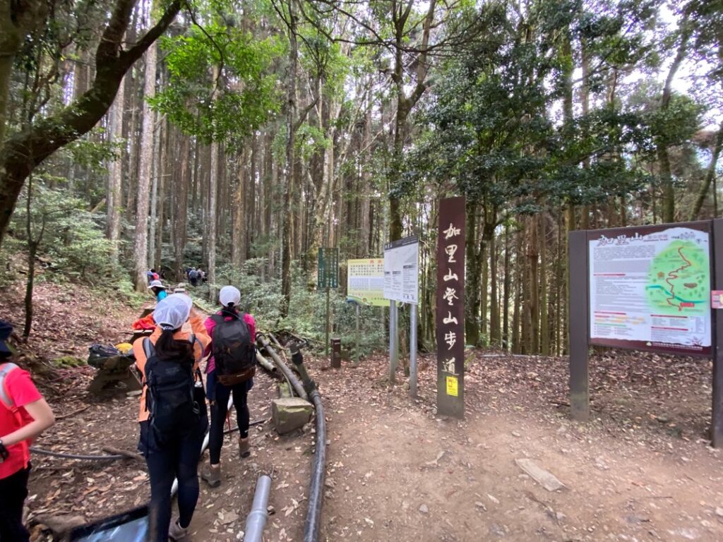 加里山鹿場登山口木樁