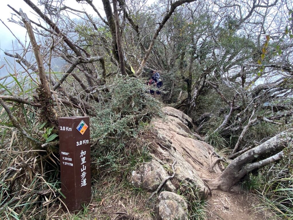 加里山步道3K處