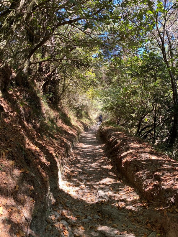 能高越嶺步道緩坡