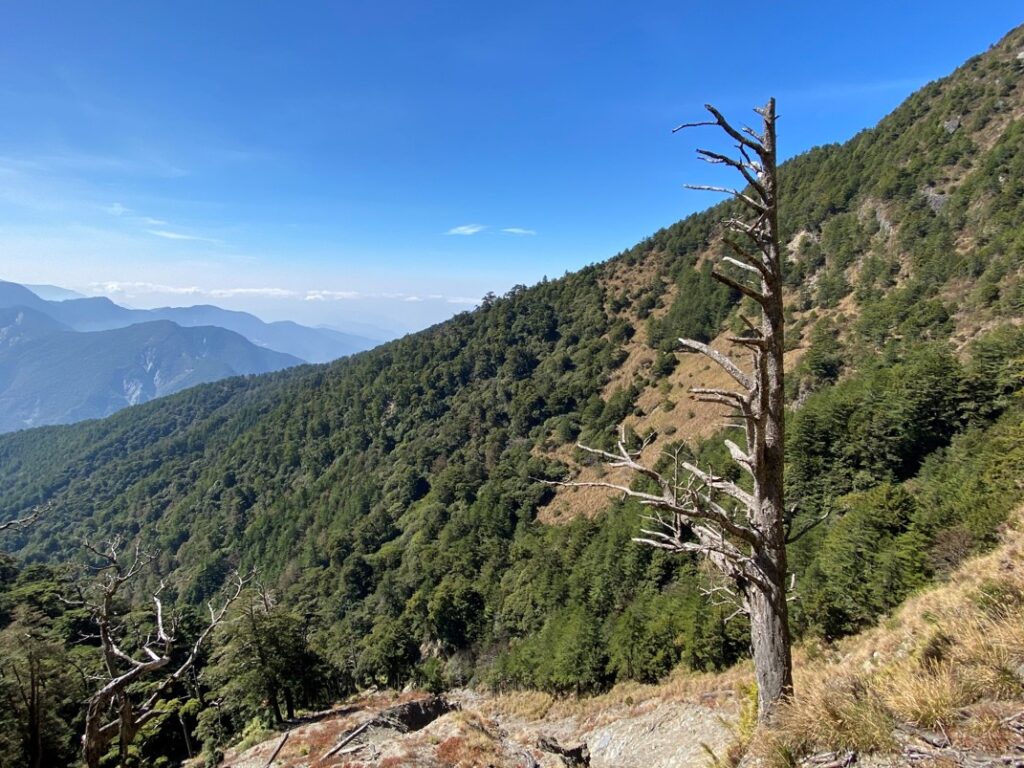 能高越嶺步道上的景色