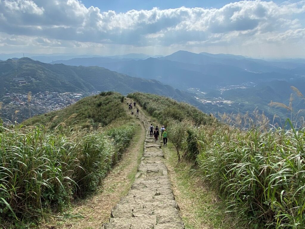 基隆山步道景色