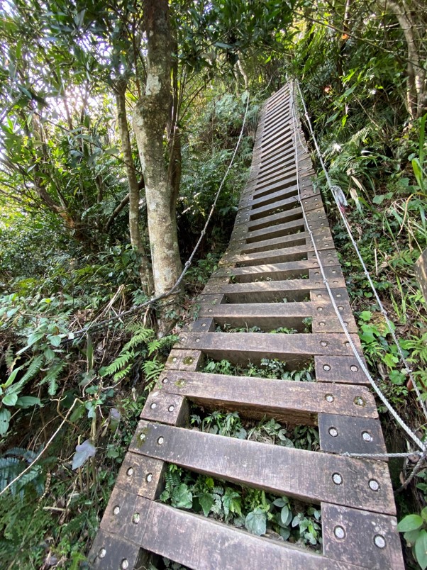 獅仔頭山近九十度的崖梯