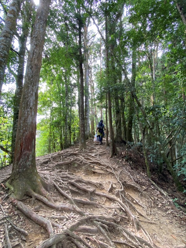 加里山步道路徑