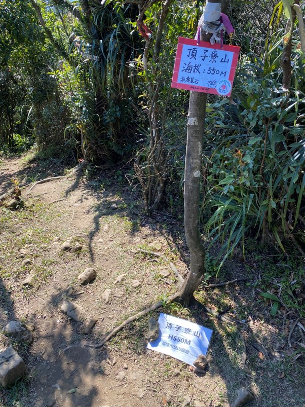 頂子寮山