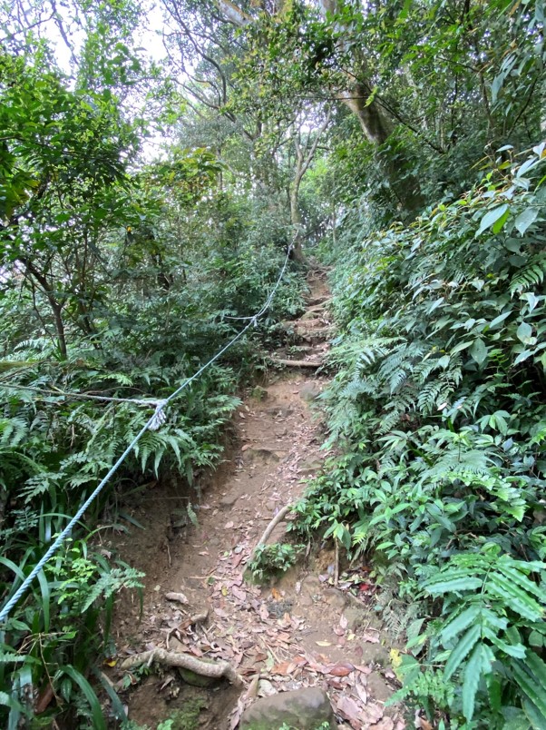 陡峭拉繩路段