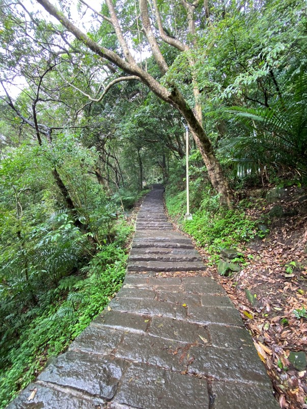 硬漢嶺步道路徑