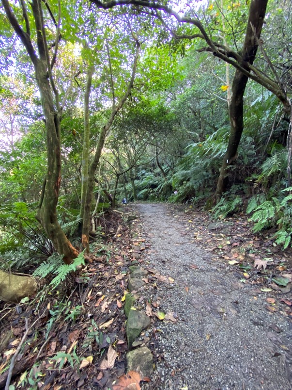 翠山步道碎石路徑