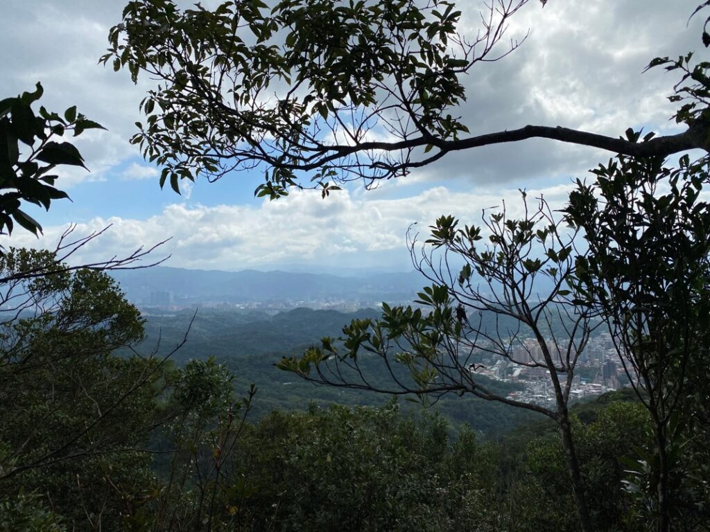 偶有開闊的風景