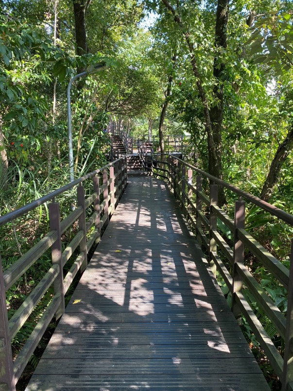 仙跡岩往山頂路徑