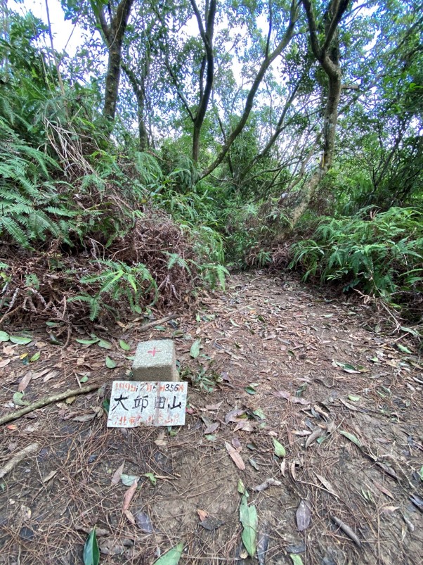 大邱田山