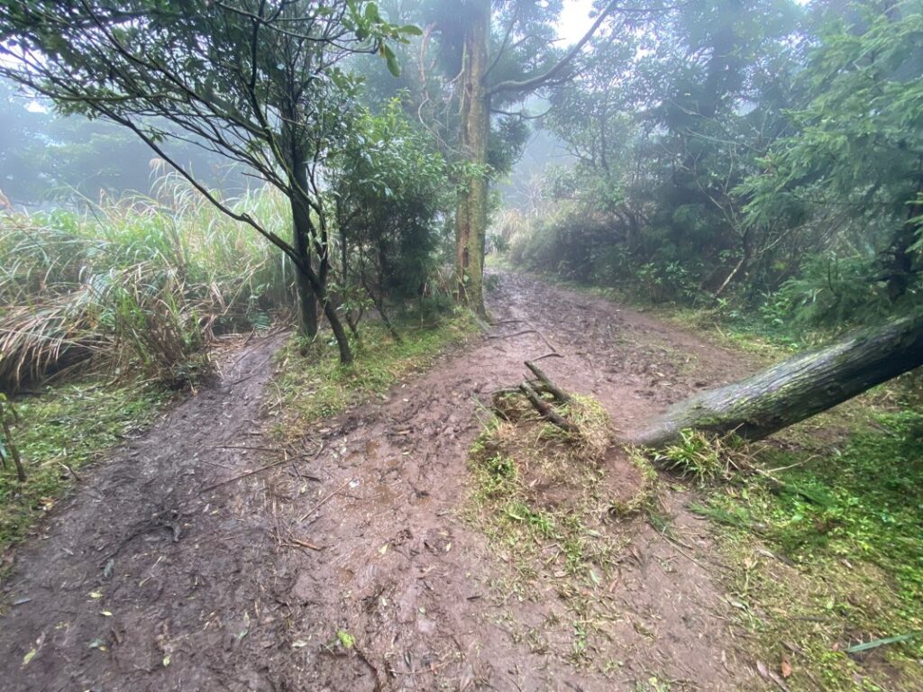 往南峰的路徑相當泥濘