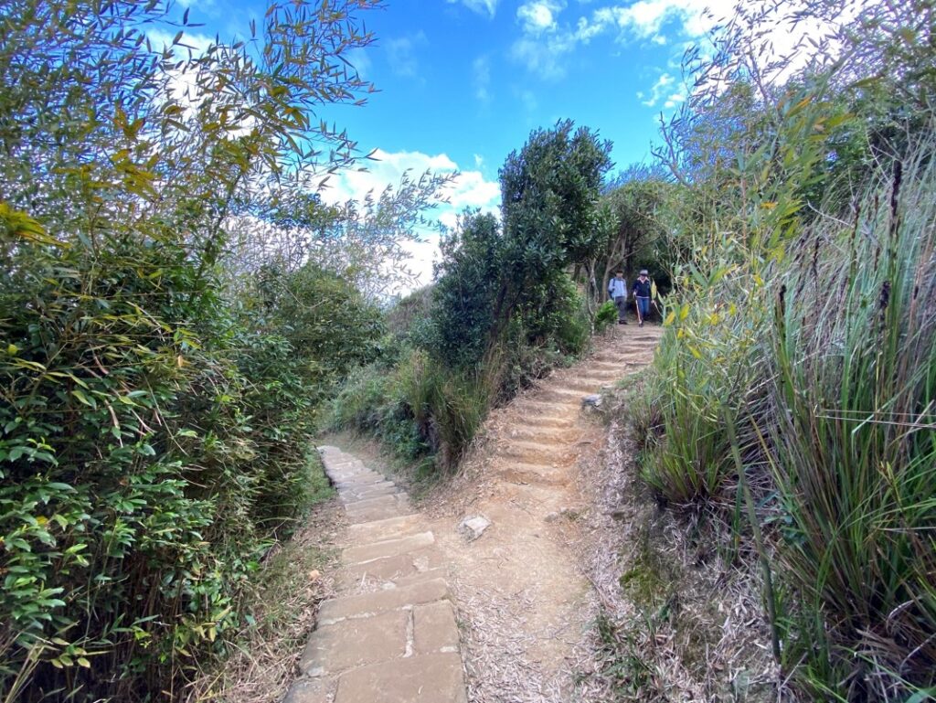 鯉魚山往東峰岔路