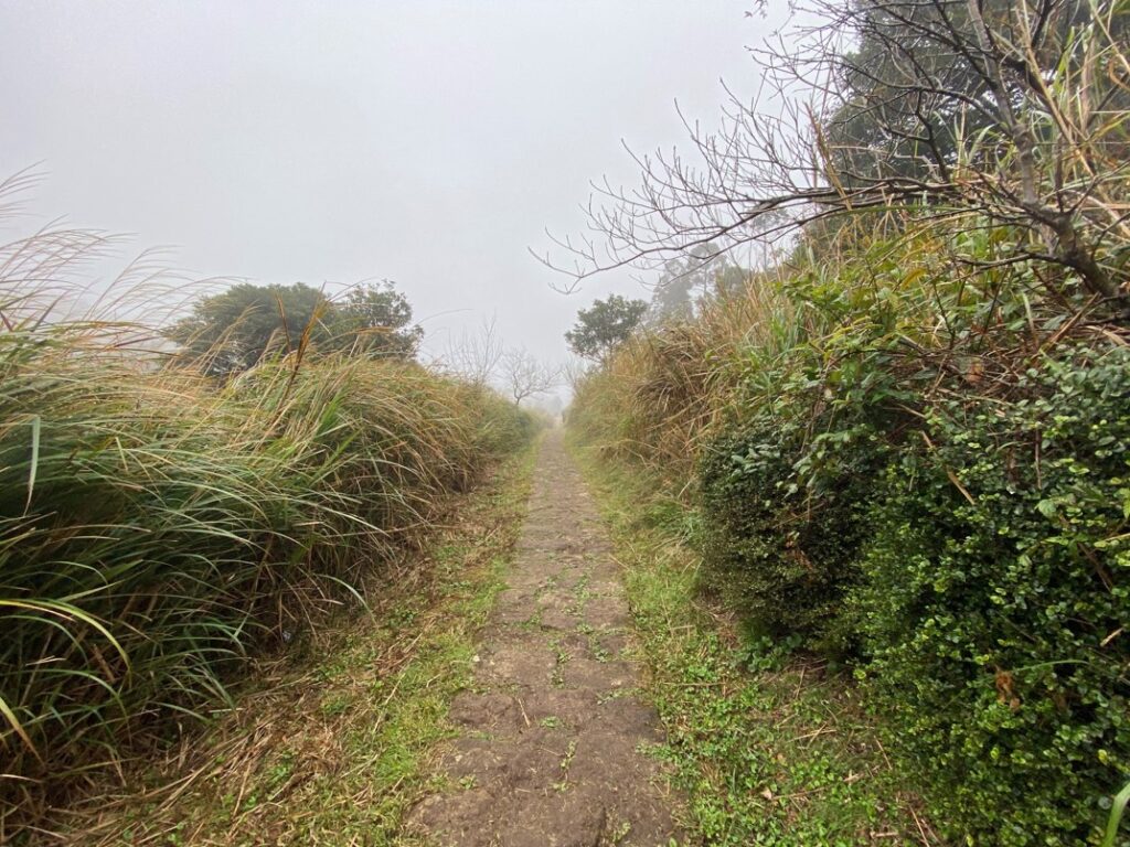 大屯坪步道