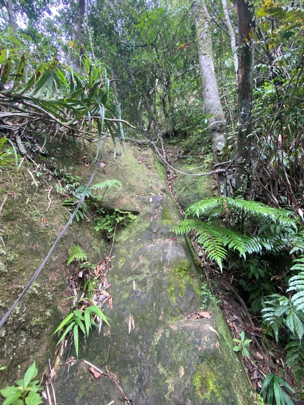 登頂前的攀爬路段