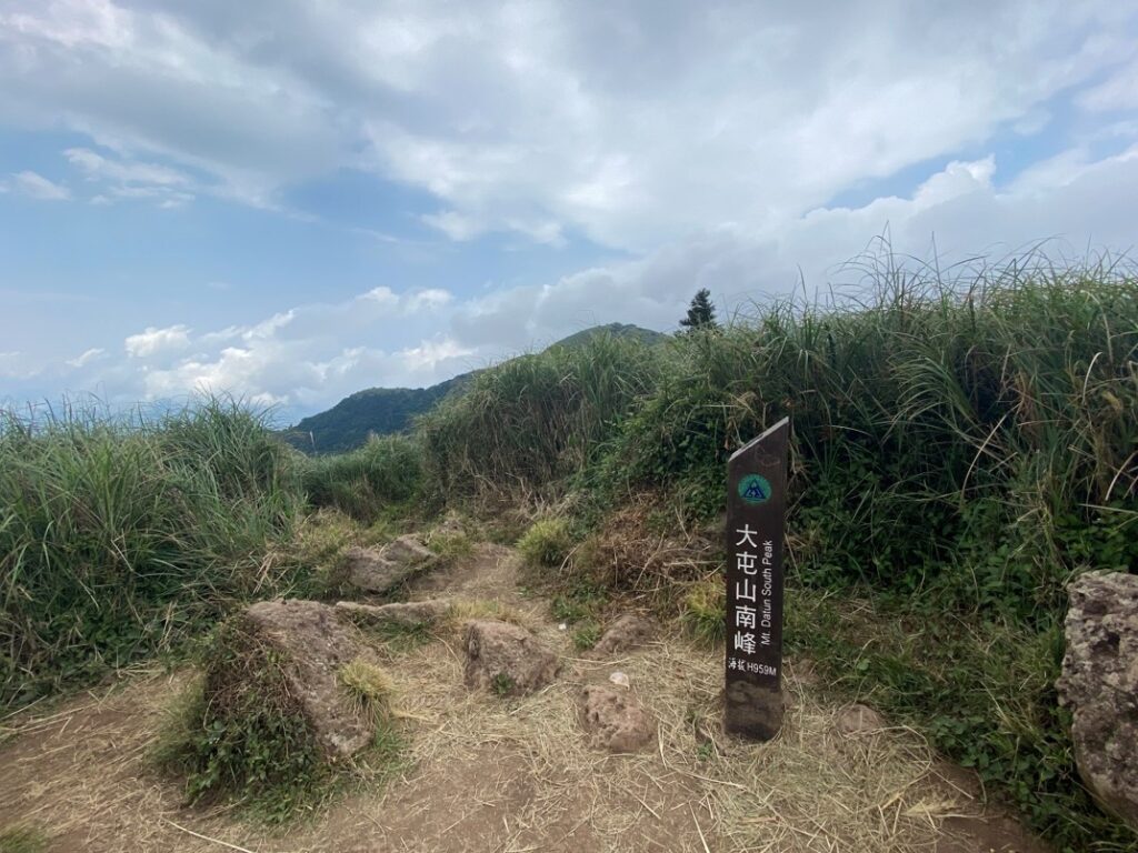 大屯山南峰木樁