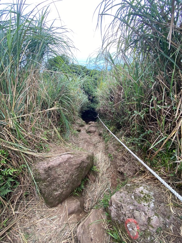 南峰下山路徑