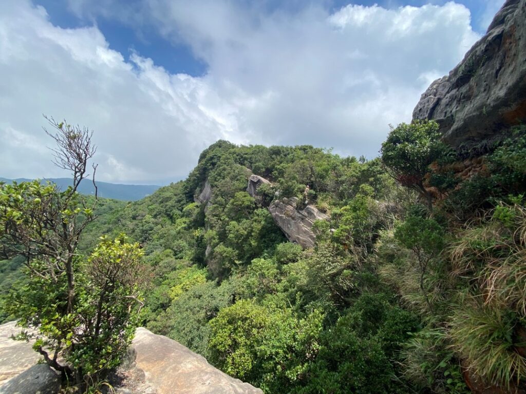 新山的裸岩巨石