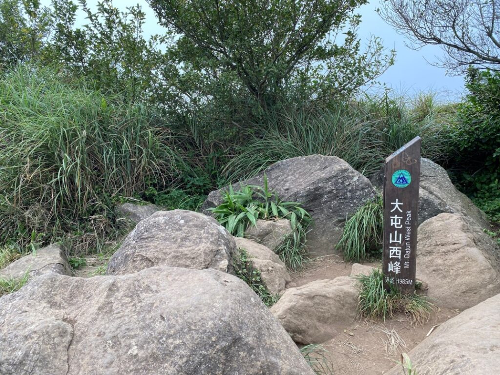 大屯山西峰木樁