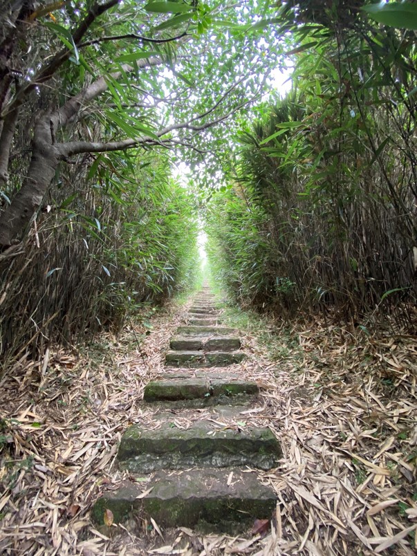 主峰步道的石階