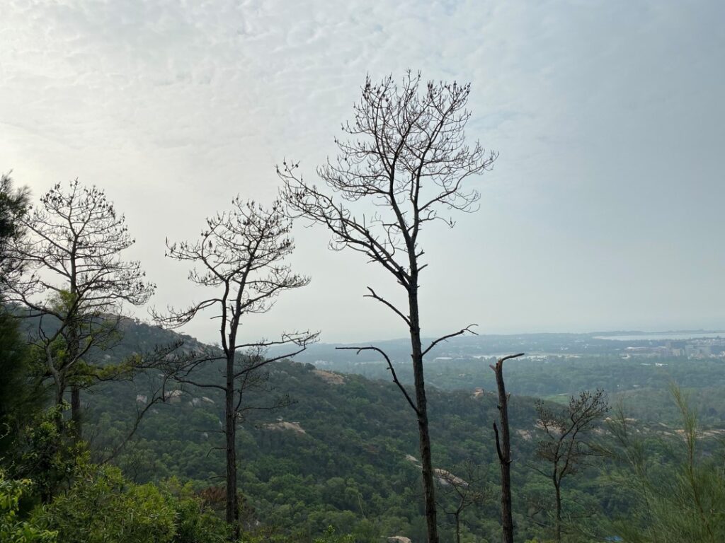 路徑上的風景