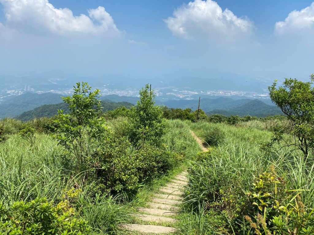 姜子寮山的仿木紋階