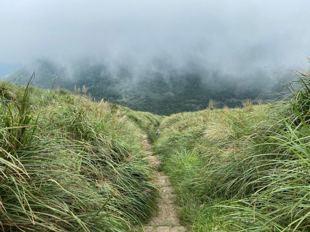 主峰下山路徑