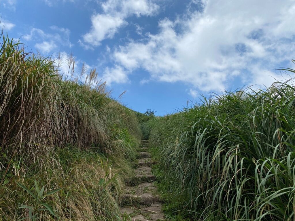 回頭望主峰步道