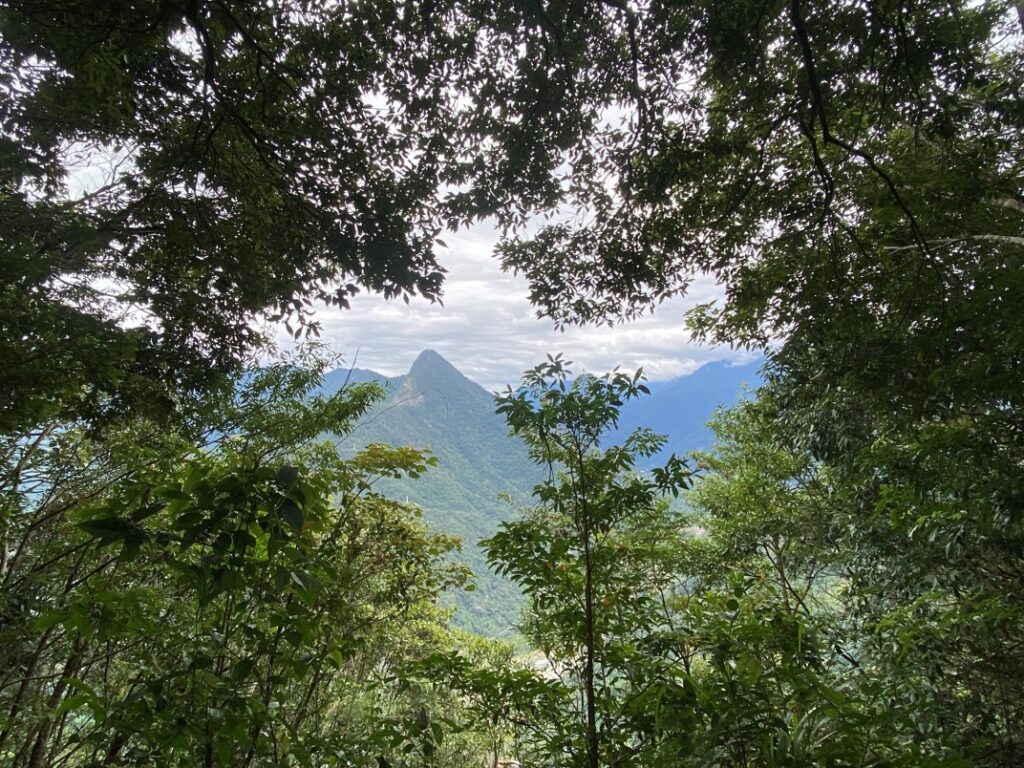 白毛山北峰小視野