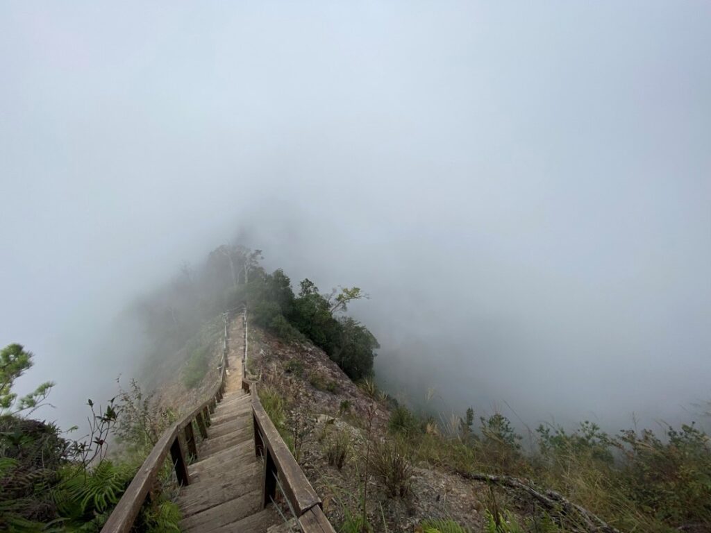 下山時已濃霧密布