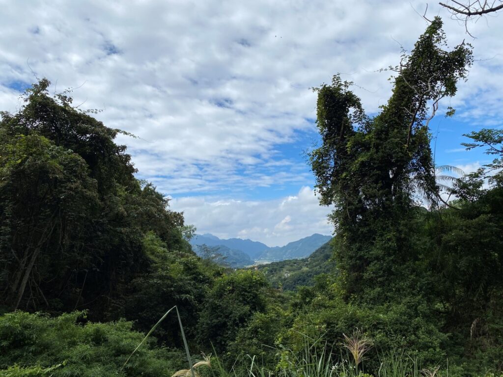 路徑上的風景