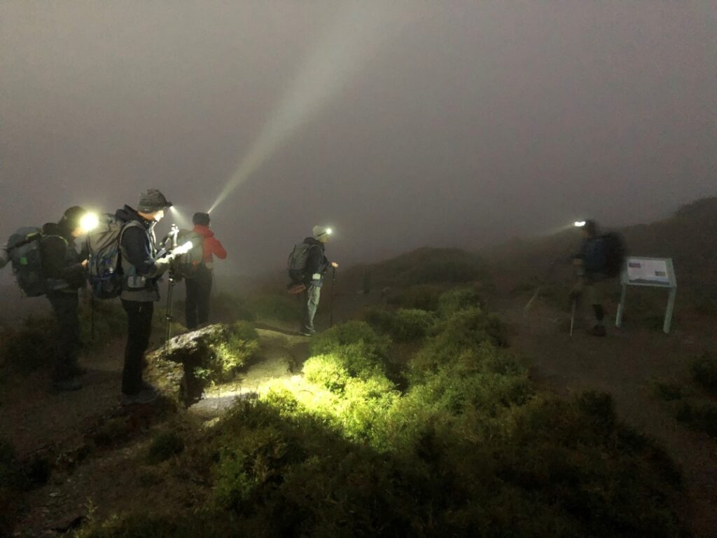 抵達小奇萊岔路口