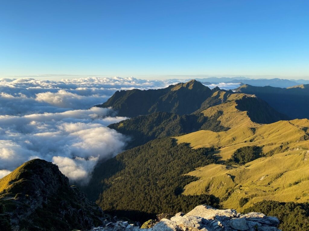 陽光已照亮大地