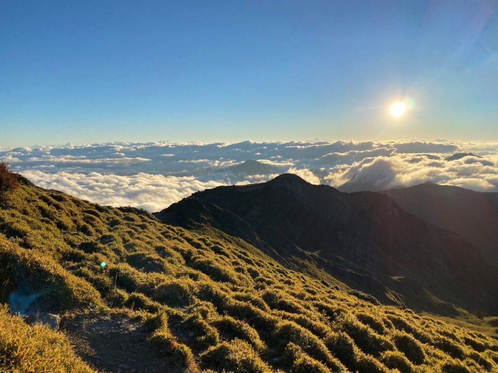 陽光灑在草坡上