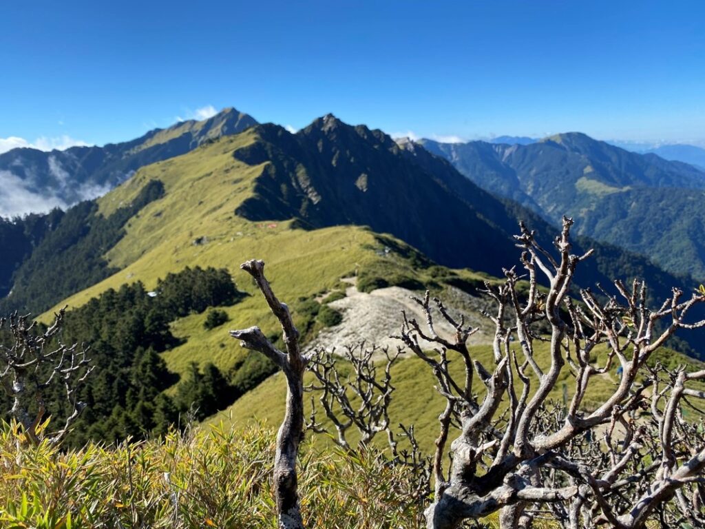 遠眺主峰