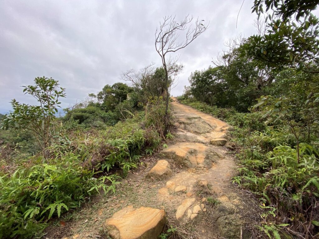 通往內溝山北峰路徑