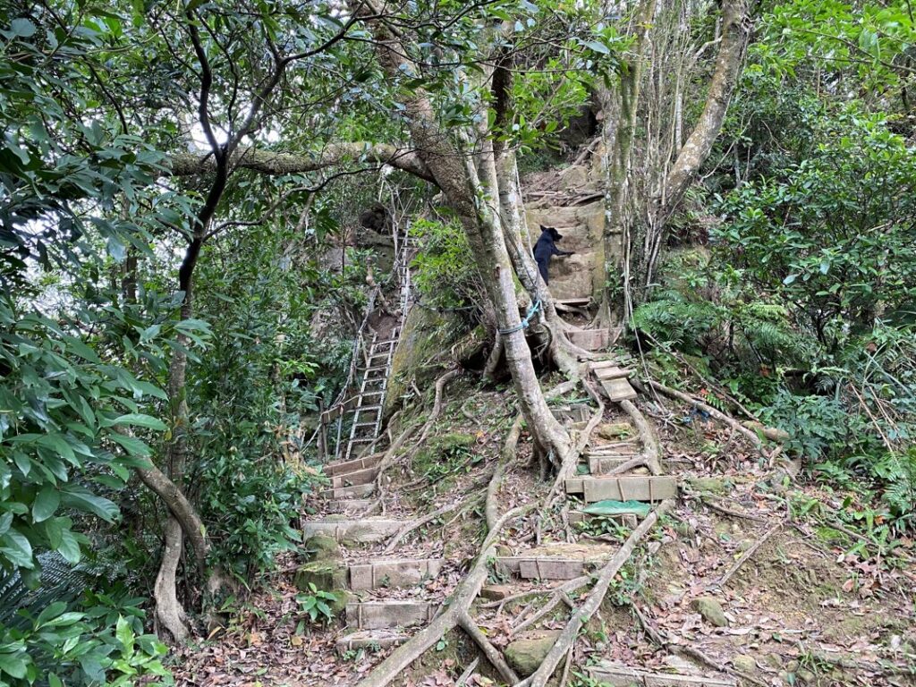 登頂前的爬升