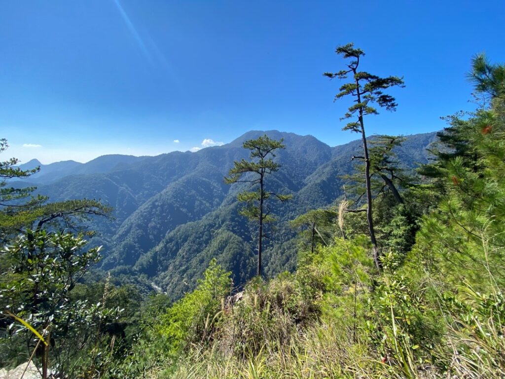 途中的視野