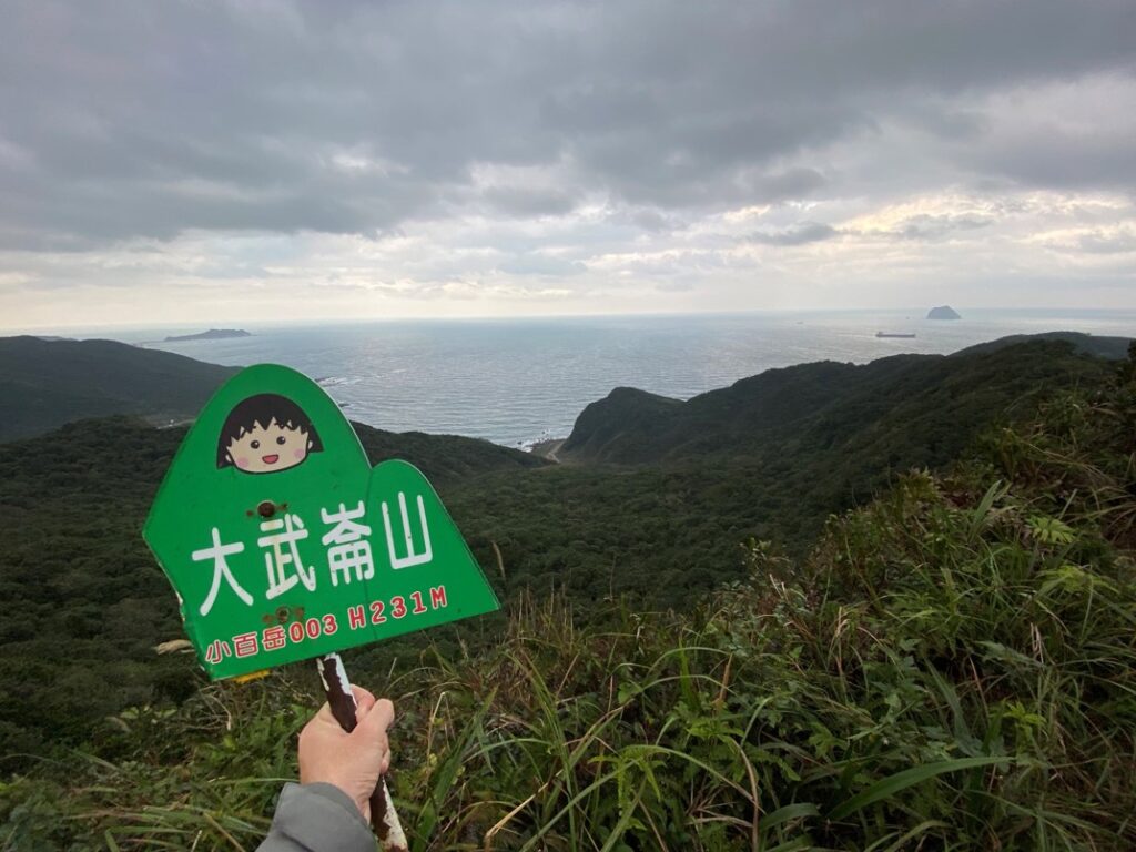 大武崙山手牌