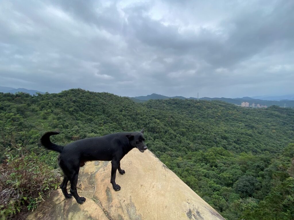 鷹石尖裸岩