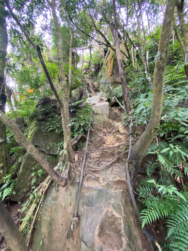 往前峰的攀爬路段