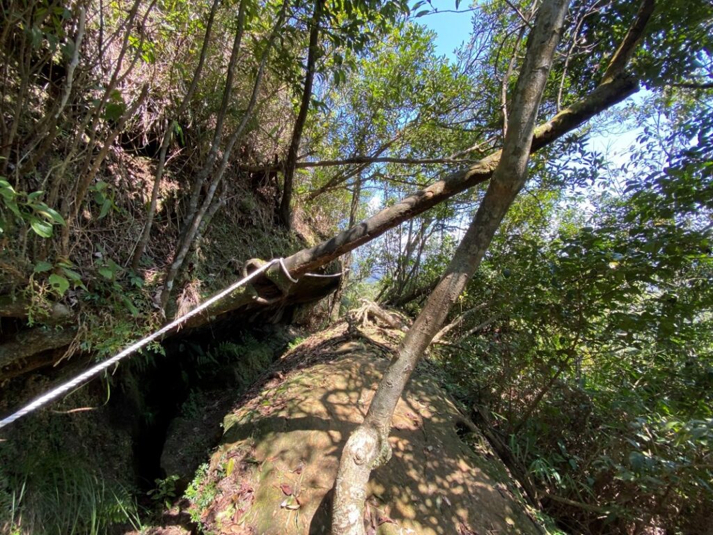 通往賞筍小丘路徑