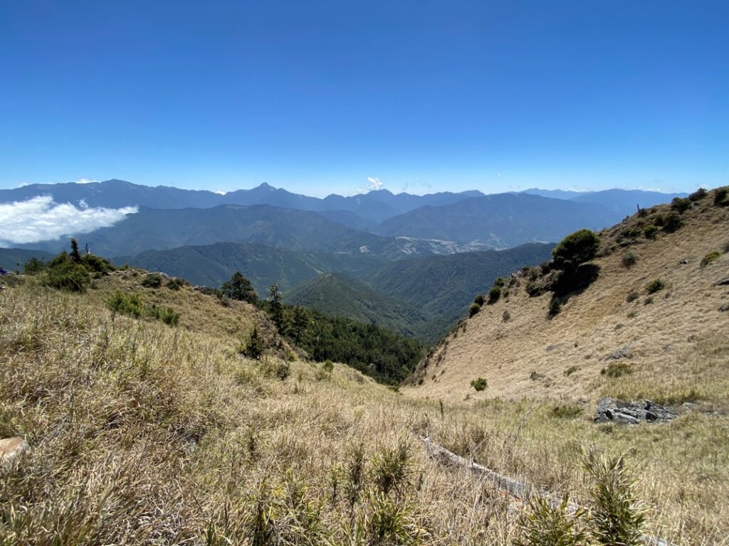 沿途風景