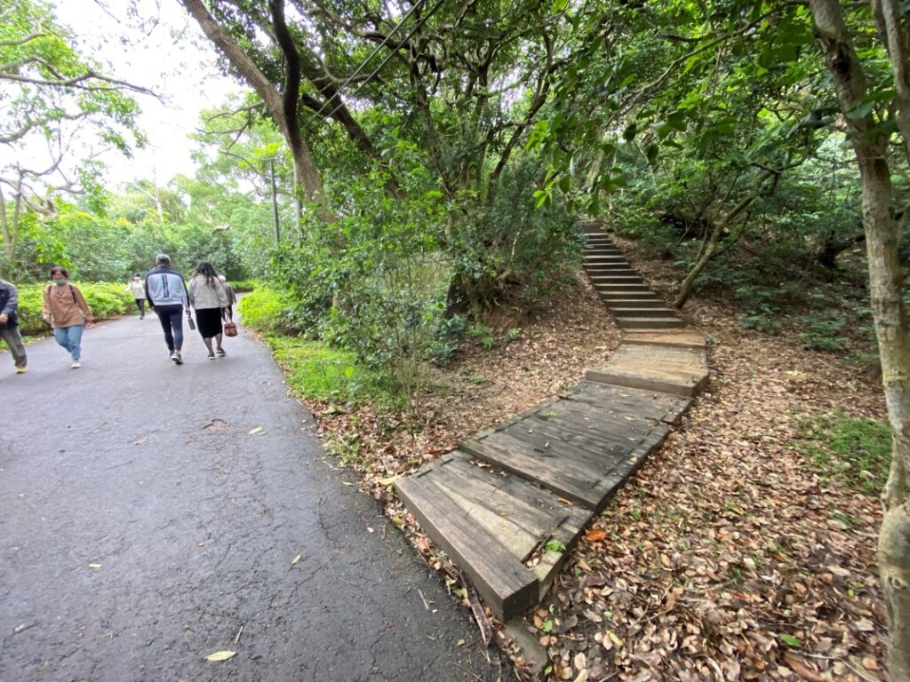 通往東峰的路徑